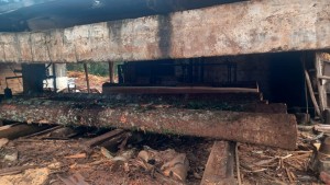 WhatsApp Image 2025-10-03 at 10.54.01