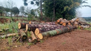 WhatsApp Image 2025-10-03 at 10.54.02