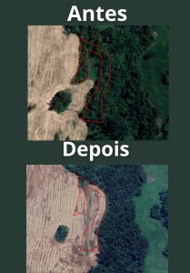 WhatsApp Image 2025-10-28 at 09.23.08