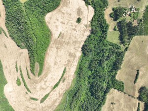 WhatsApp Image 2025-10-28 at 09.23.09