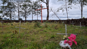 30b1309d-27c0-4bda-9bbc-2f49bf563fb6