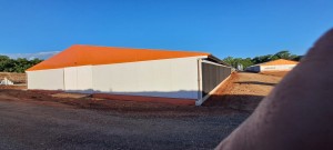 WhatsApp Image 2025-12-04 at 14.20.19