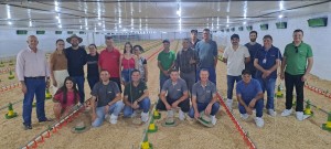 WhatsApp Image 2025-12-04 at 14.20.20 (1)