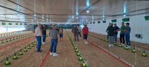 WhatsApp Image 2025-12-04 at 14.20.20