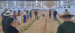 WhatsApp Image 2025-12-04 at 14.20.21