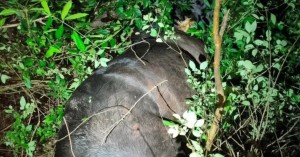 613621746_1455134309953255_3388387611507648869_n