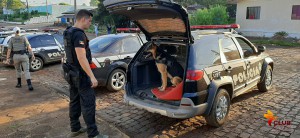 5 maxi cachorro 180322
