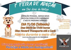 080622 adoção