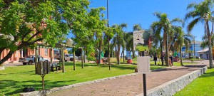 WhatsApp Image 2022-11-09 at 10.31.09 (1)