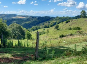 verão matéria