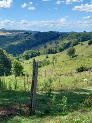 verão matéria