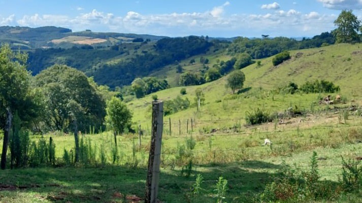 verão matéria