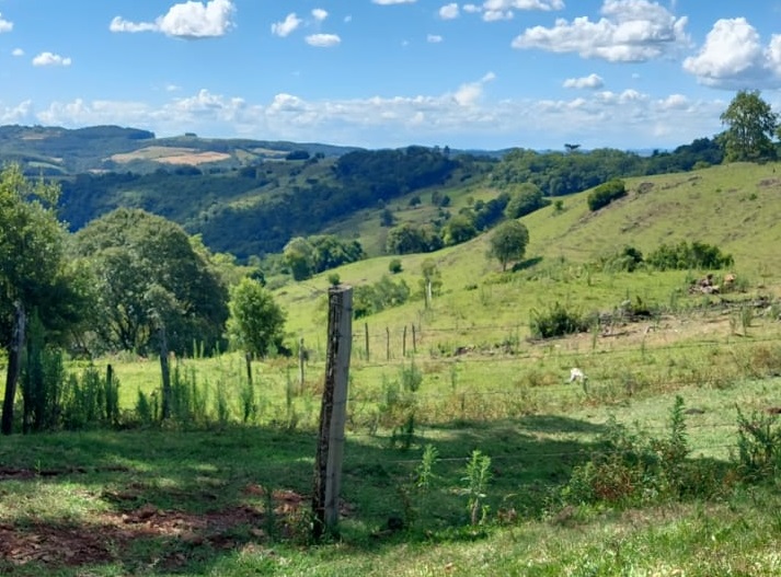 verão matéria