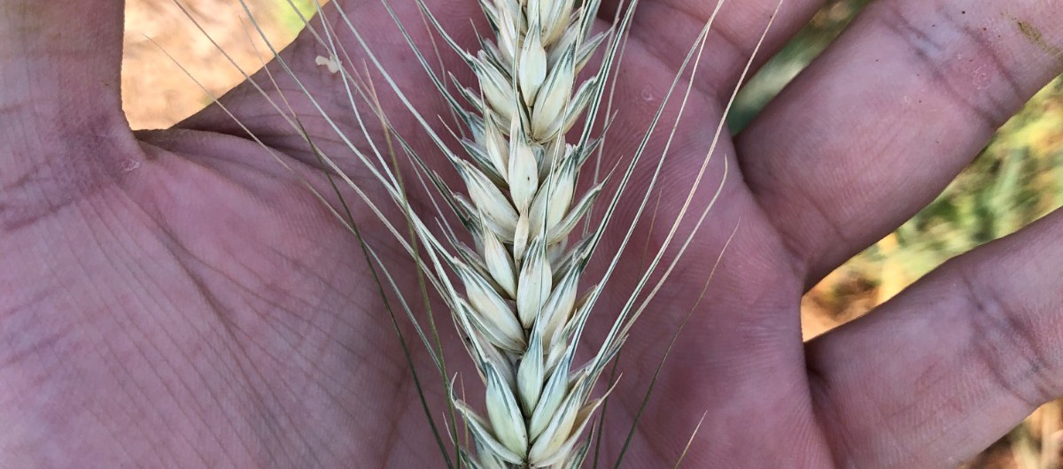 WhatsApp Image 2023-10-09 at 18.54.56