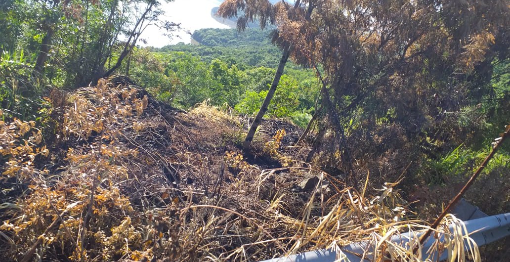 7a2f5002-d3ee-4c52-acf7-ae71389aa459