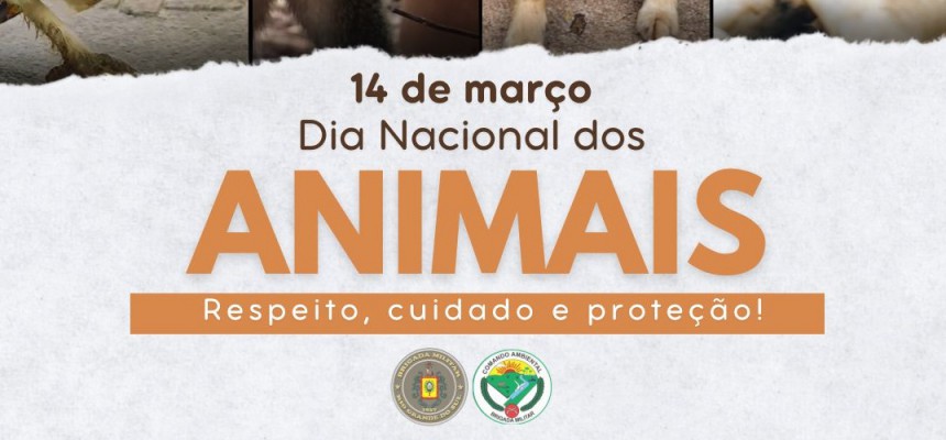 WhatsApp Image 2024-03-14 at 12.01.21