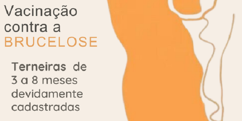 story Vacinação Brucelose (720 x 1280 px)