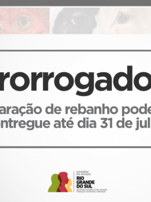 12070650_168089_GD