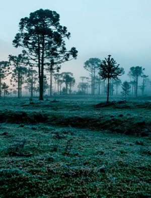 22_01_2024_inverno