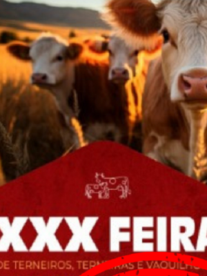 xxx feira