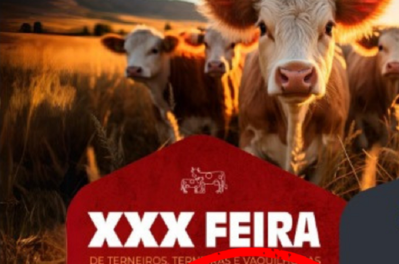 xxx feira