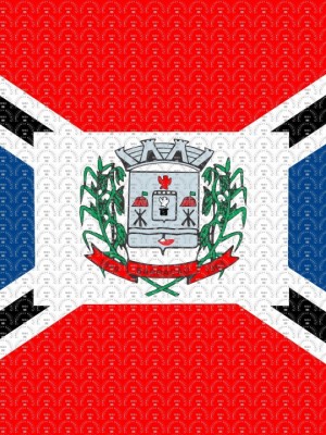 municipio-barracao-bandeira-simb-brssrs0100501800