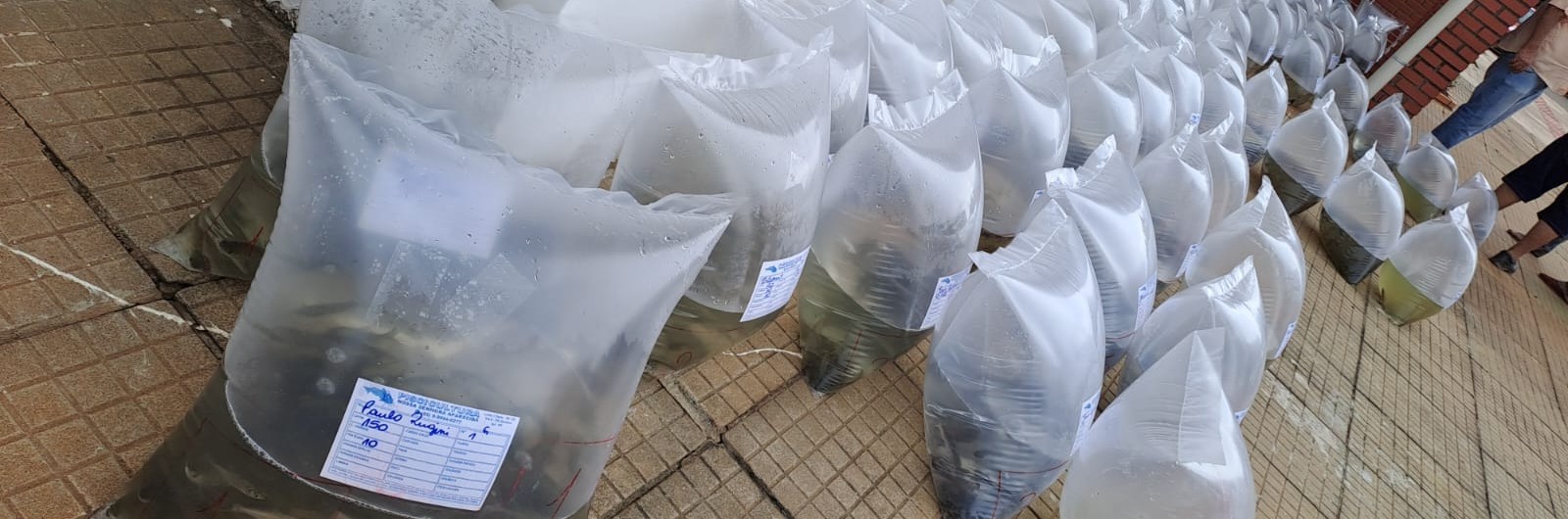 WhatsApp Image 2025-03-13 at 09.44.33