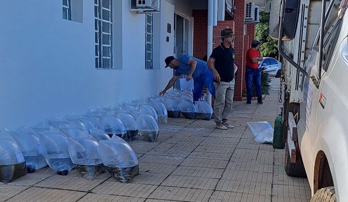 WhatsApp Image 2025-03-25 at 12.40.34 (1)