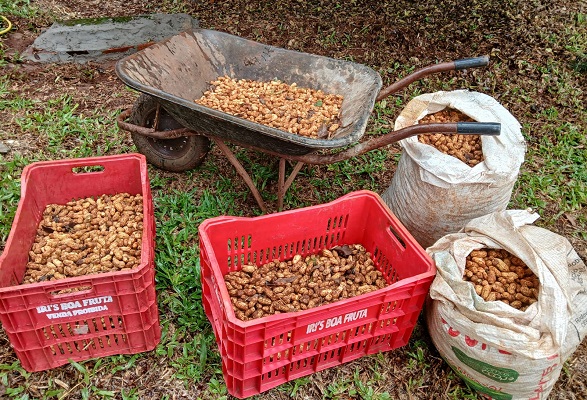 WhatsApp-Image-2025-04-03-at-14.44.33-1