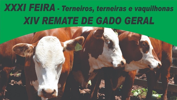 WhatsApp Image 2025-04-28 at 15.52.13