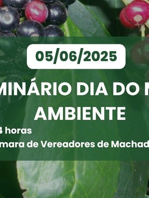 WhatsApp Image 2025-05-22 at 15.21.58