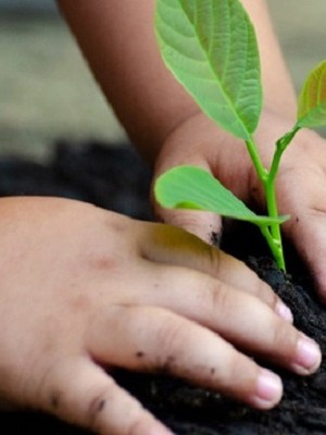 sustentabilidade