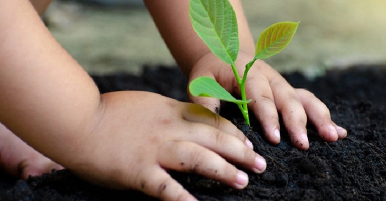 sustentabilidade