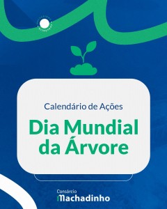 Ações Dia da Árvore