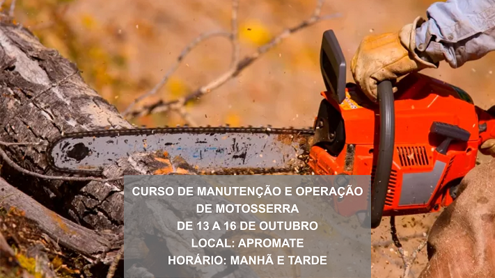 CURSO DE MANUTENÇÃO E OPERAÇÃO DE MOTOSSERRA