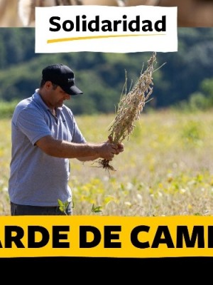 capa tarde de campo dia 8 de outubro