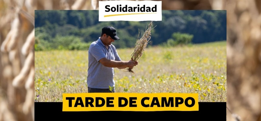 capa tarde de campo dia 8 de outubro