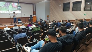 maior erva 1