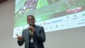 maior erva 4
