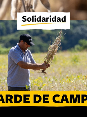 tarde-de-campo-dia-8-de-outubro