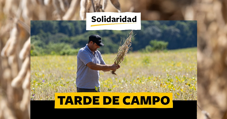 tarde-de-campo-dia-8-de-outubro