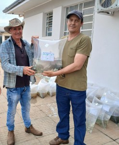 WhatsApp Image 2025-11-04 at 14.37.45