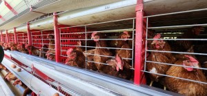 WhatsApp Image 2025-11-07 at 13.59.45 (2)