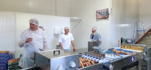 WhatsApp Image 2025-11-07 at 13.59.46