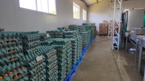 WhatsApp Image 2025-11-07 at 13.59.47 (2)