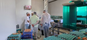 WhatsApp Image 2025-11-07 at 13.59.47 (3)