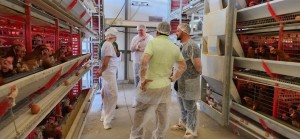 WhatsApp Image 2025-11-07 at 13.59.48 (1)