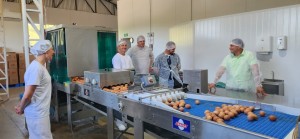 WhatsApp Image 2025-11-07 at 13.59.48 (2)