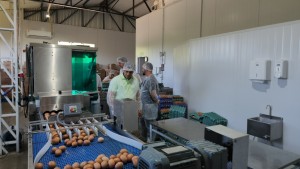 WhatsApp Image 2025-11-07 at 13.59.48