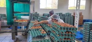 WhatsApp Image 2025-11-07 at 13.59.49 (1)